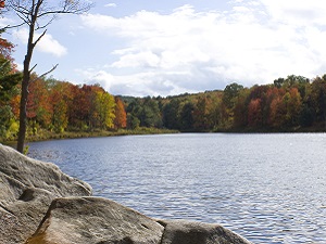 Parker Dam State Park