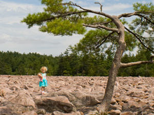 Hickory Run State Park