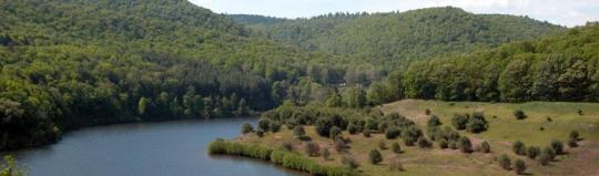 Photo: KETTLE CREEK STATE PARK