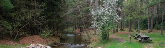 Photo: MCCALLS DAM STATE PARK