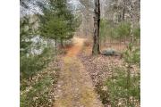 Photo: Delaware State Forest