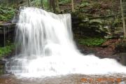Photo: Loyalsock State Forest