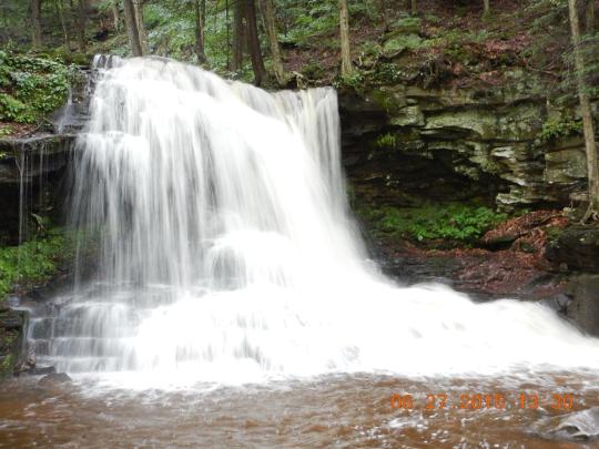 Photo: Loyalsock State Forest