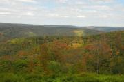 Photo: Susquehannock State Forest