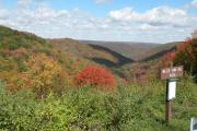 Photo: Susquehannock State Forest