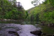 Photo: Rothrock State Forest