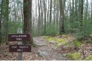 Photo: MICHAUX STATE FOREST